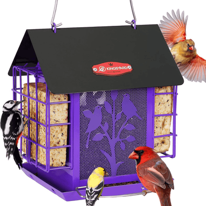 3lb Suet & Seed Bird Feeder – Weatherproof Roof Design