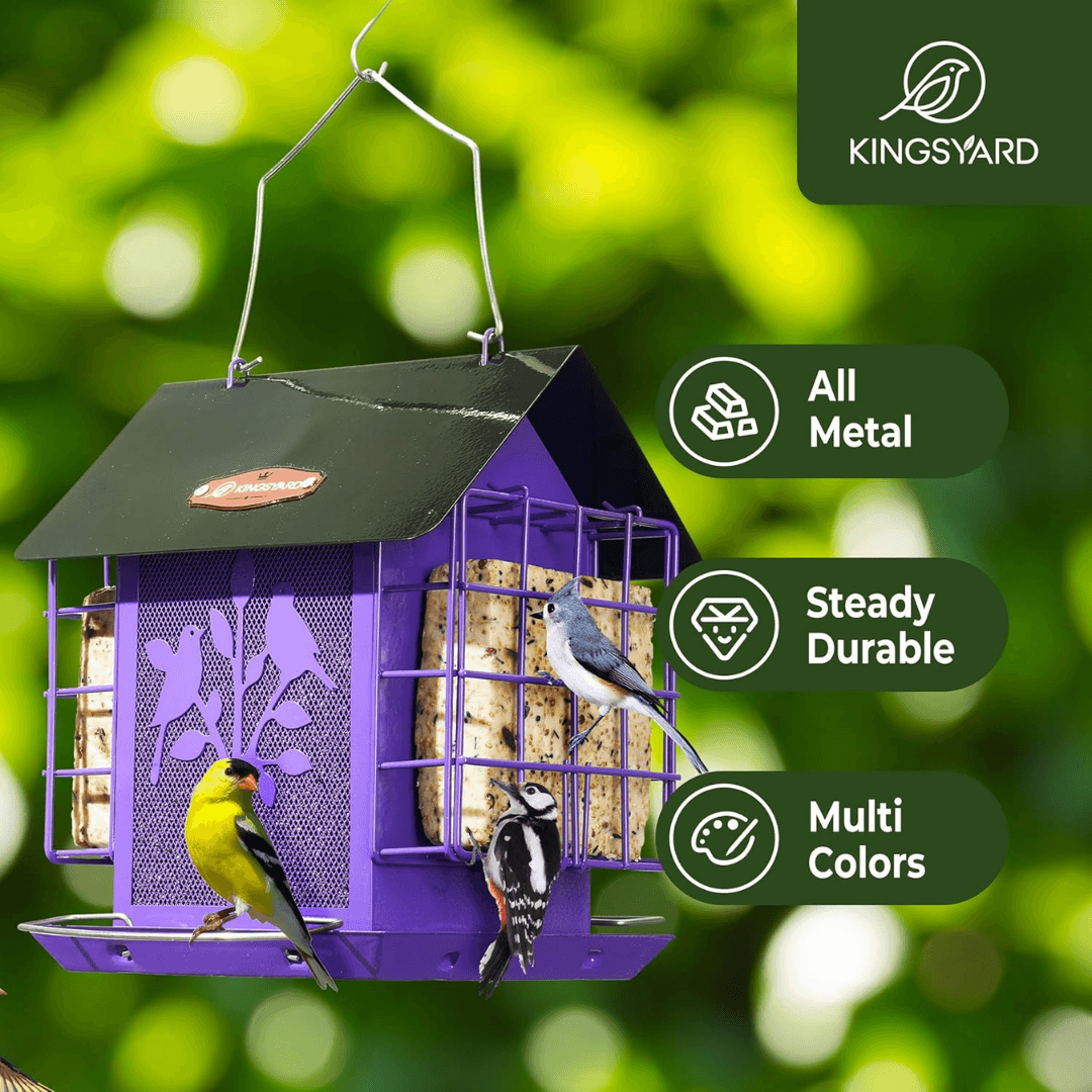 3lb Suet & Seed Bird Feeder – Weatherproof Roof Design