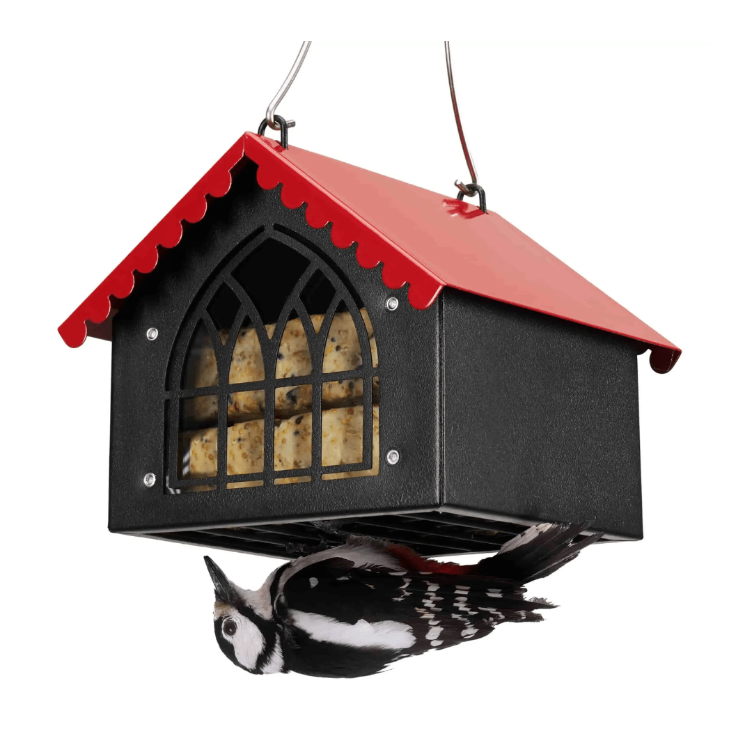 Upside-Down Suet Bird Feeder – Woodpecker Design