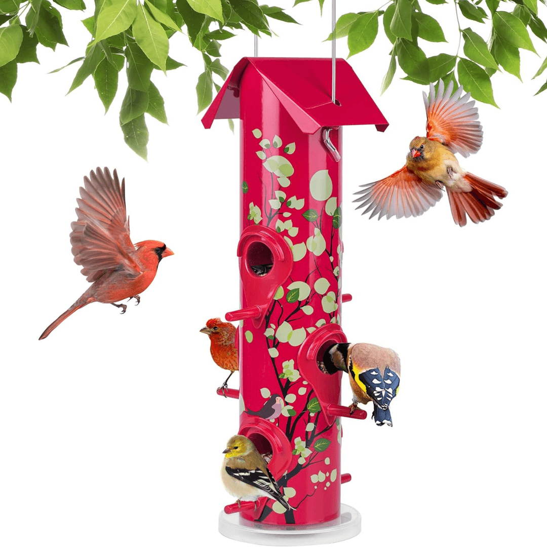 2lb Hanging Bird Feeder with Perches – 6-Port Feeding Design