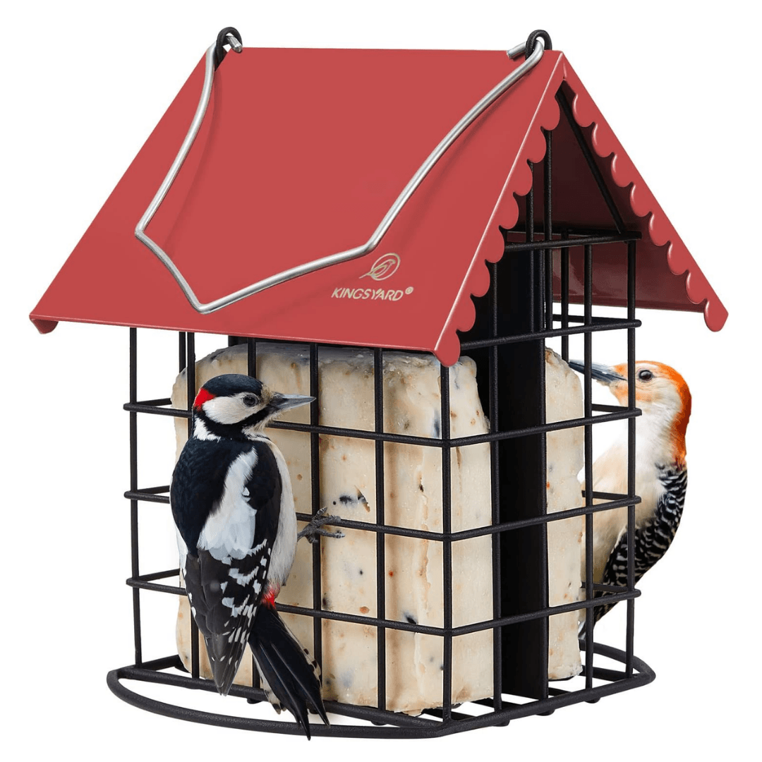 Dual Suet Bird Feeder – All-Metal Hanging Design