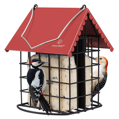 Dual Suet Bird Feeder – All-Metal Hanging Design