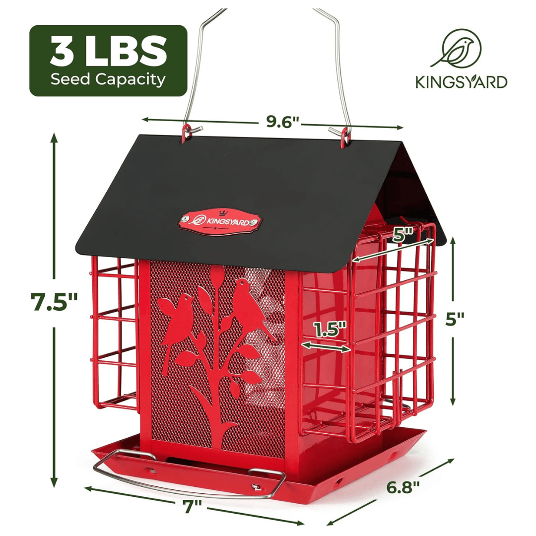 3lb Suet & Seed Bird Feeder – Weatherproof Roof Design