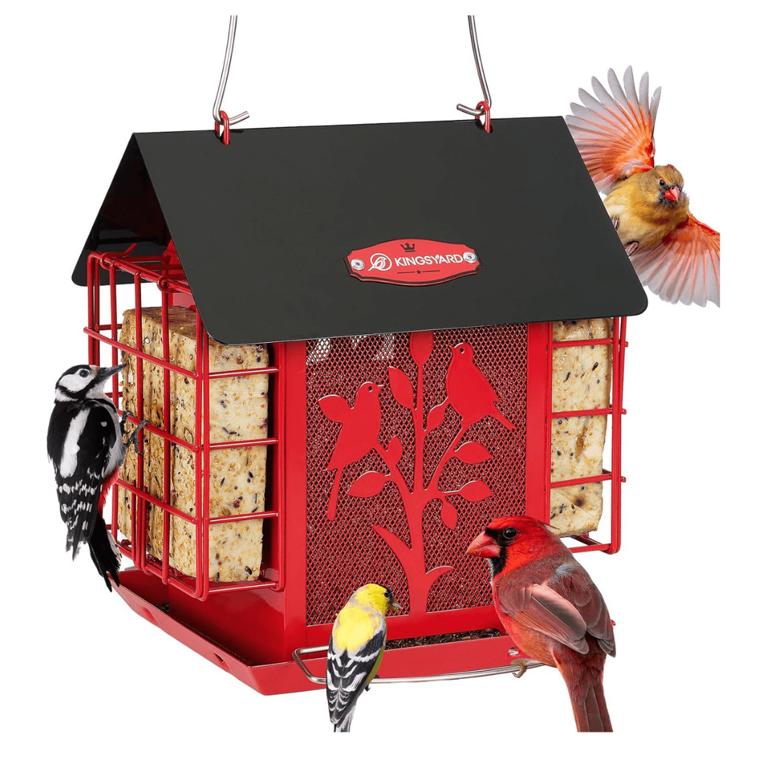 3lb Suet & Seed Bird Feeder – Weatherproof Roof Design