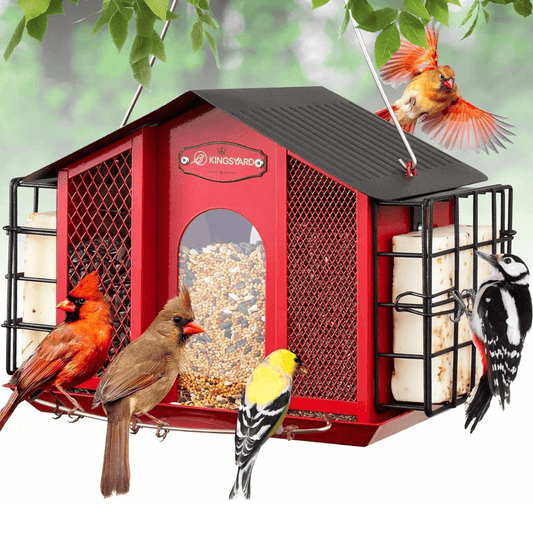 4lb Multi-Feed Bird Feeder – 360° Feeding Station