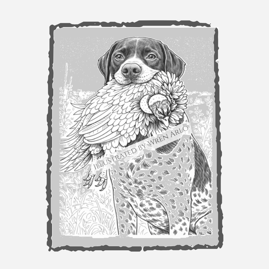 Upland Soul Coloring Book – Bird Dogs & Quiet Mornings in the Field