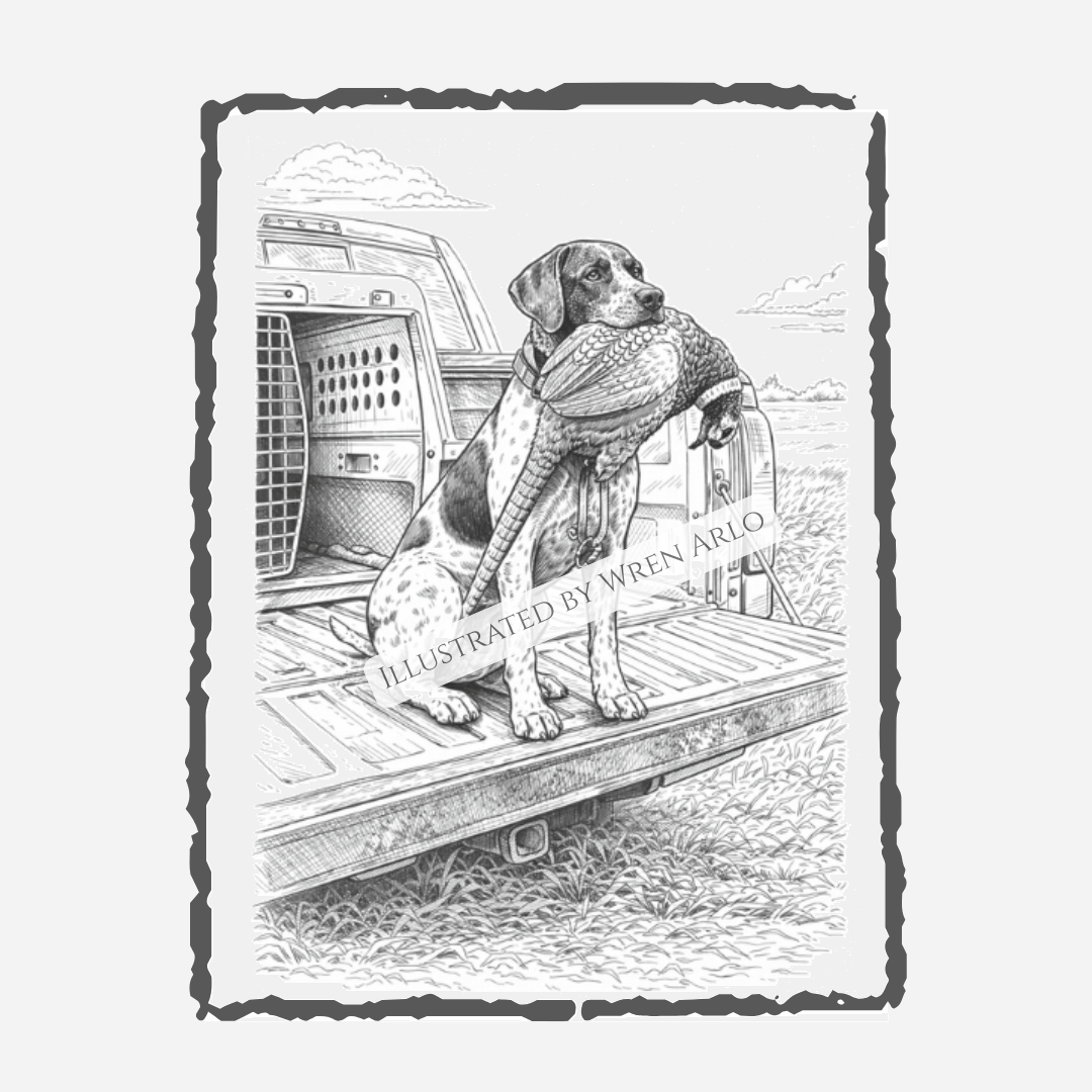 Upland Soul Coloring Book – Bird Dogs & Quiet Mornings in the Field