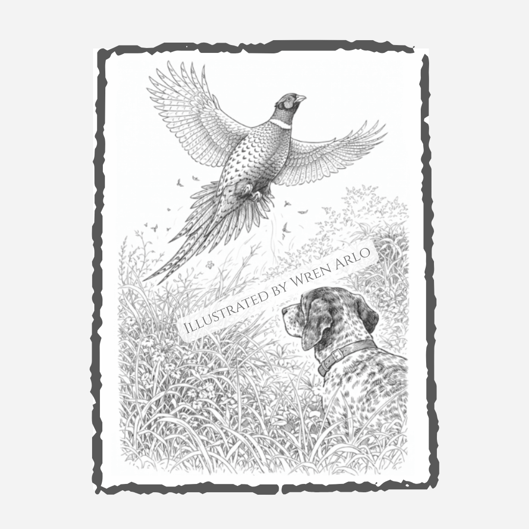 Upland Soul Coloring Book – Bird Dogs & Quiet Mornings in the Field