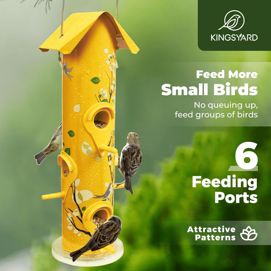 2lb Hanging Bird Feeder with Perches – 6-Port Feeding Design