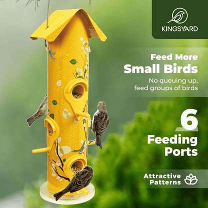 2lb Hanging Bird Feeder with Perches – 6-Port Feeding Design